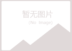 宝山区迷失音乐有限公司